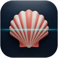 Seashell