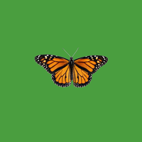 Fauna