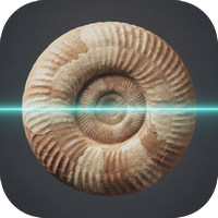 Fossil