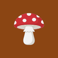Fungora