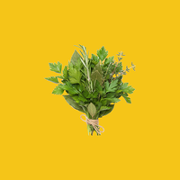 HerbaMed