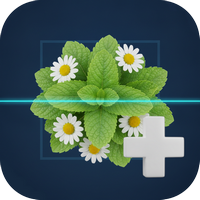 HerbaMed